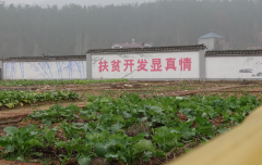 威尼斯人官网_威尼斯人网址_威尼斯人网站_构建和谐安置点